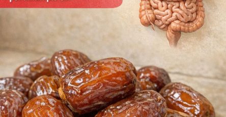 655880995 122160884096943773 2680354446497854219 n