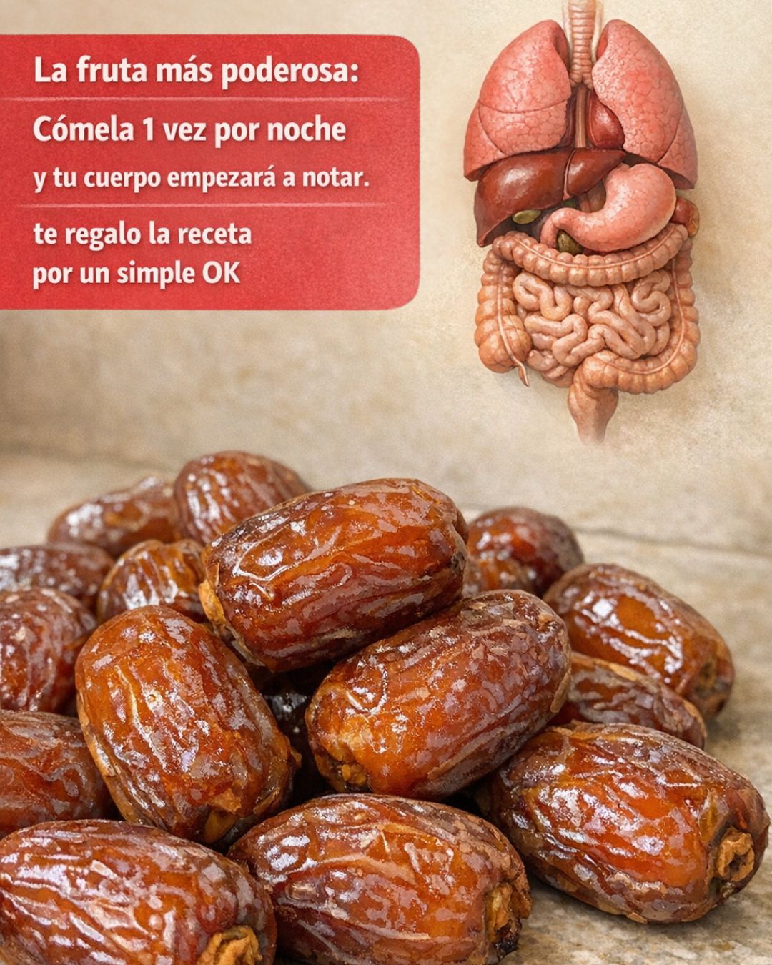 655880995 122160884096943773 2680354446497854219 n