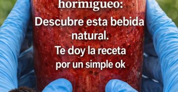 655918803 122166701678924909 1787136055585653483 n