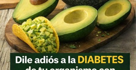 656058665 1574540927534520 5882675336440992242 n