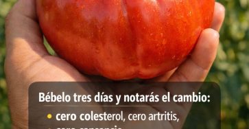 656089313 122151481502971843 8723450448251150814 n