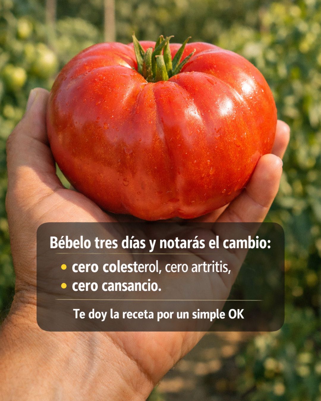 656089313 122151481502971843 8723450448251150814 n