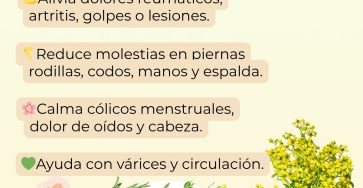 656139468 122156722964958793 542911046476424897 n