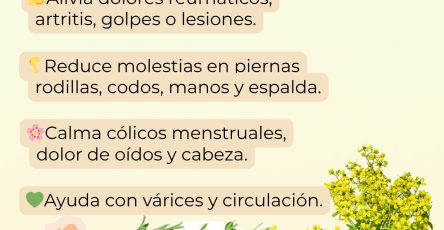 656139468 122156722964958793 542911046476424897 n