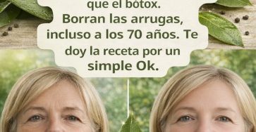 656250426 1573933197595293 1419761132047121912 n