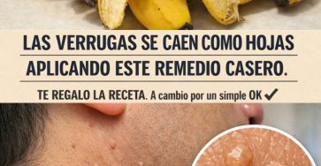 656402405 122160650762943773 4899405561949612009 n