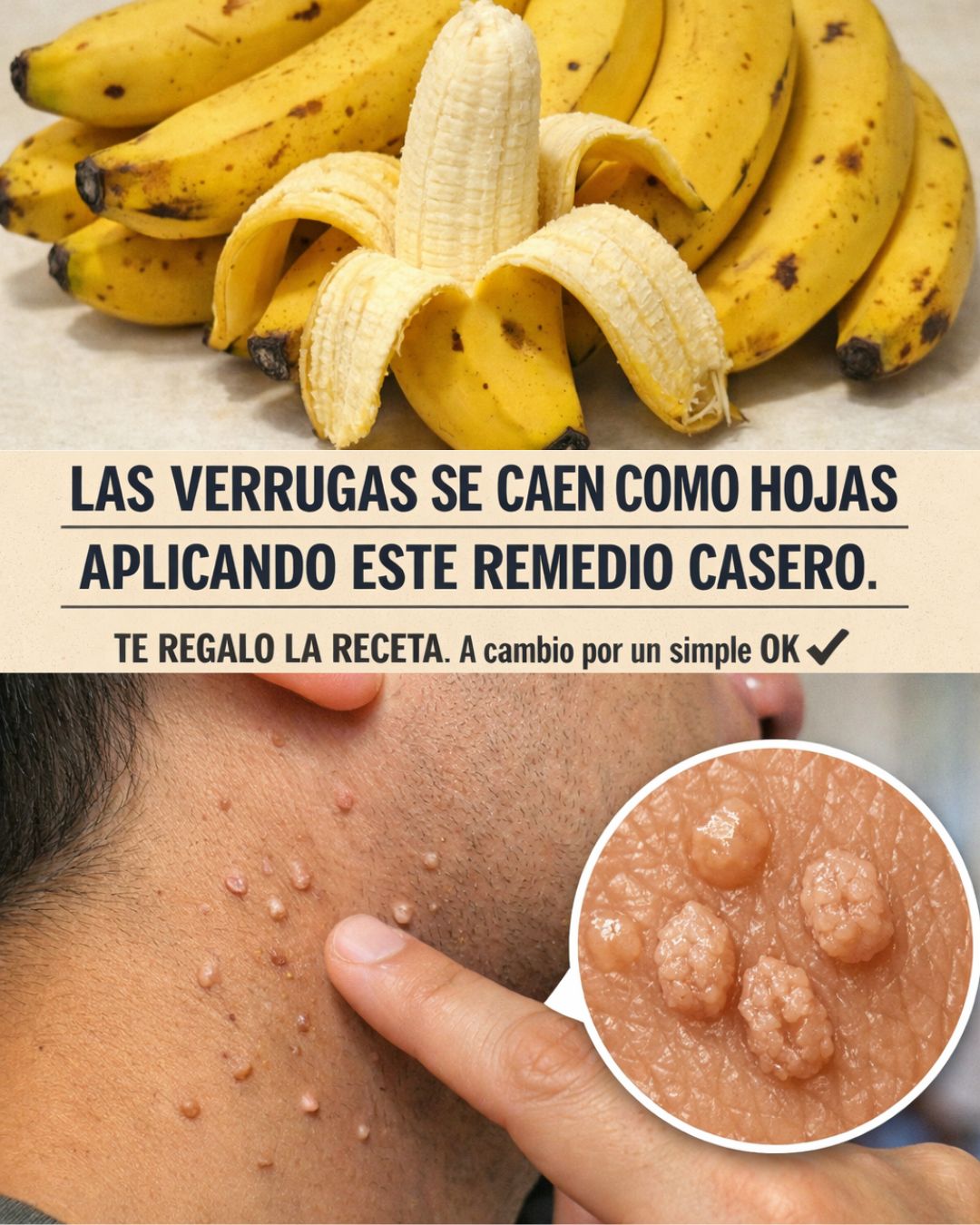 656402405 122160650762943773 4899405561949612009 n