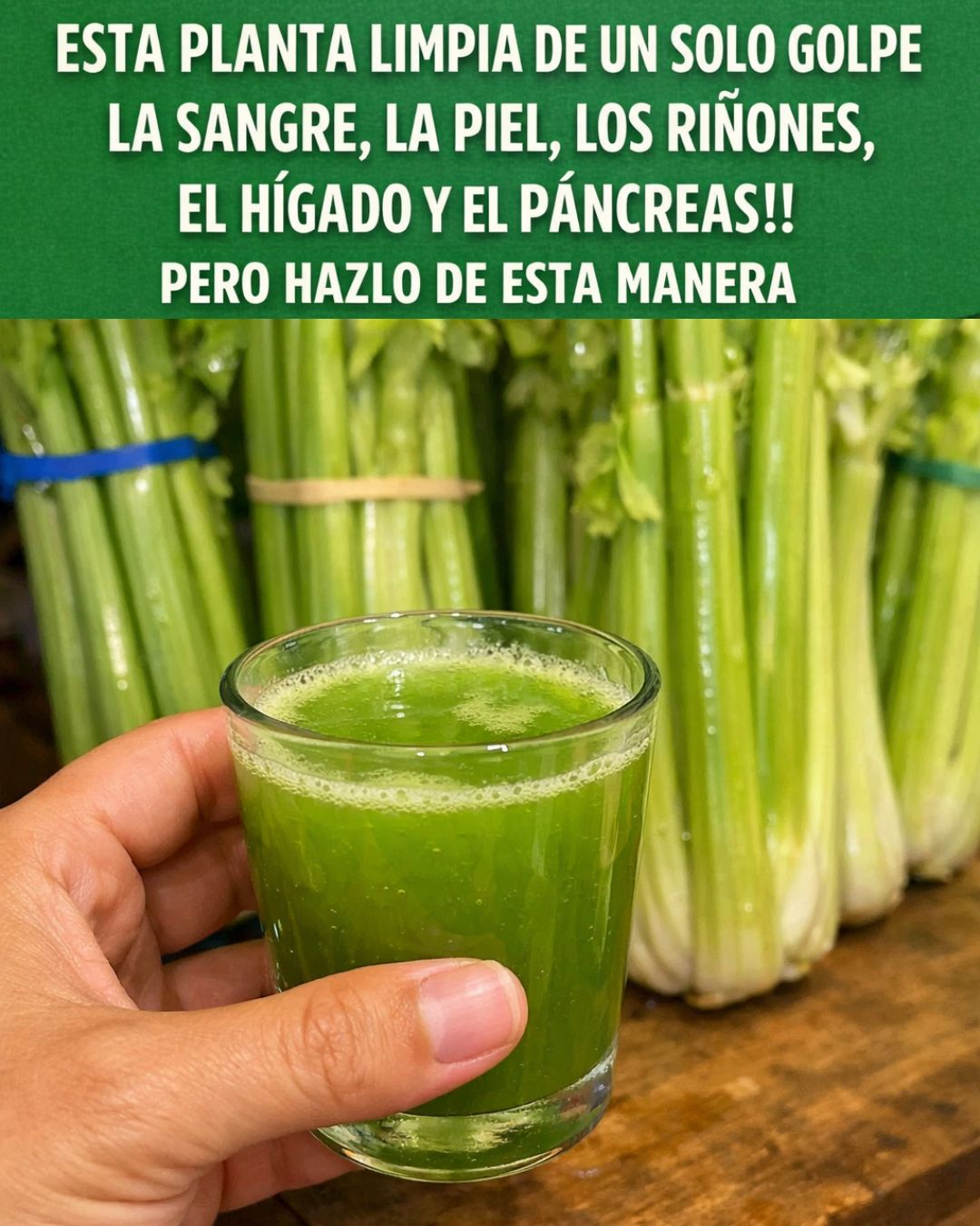 656459314 122158344062973955 8152300818354033352 n