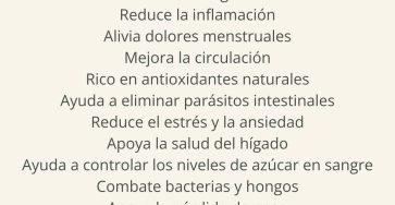 656612347 122157297470958793 1096496264569055444 n