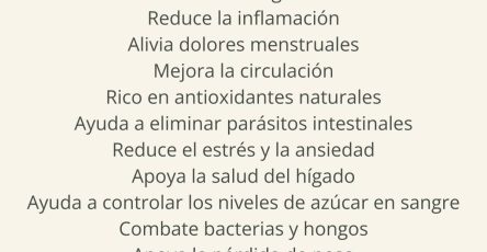 656612347 122157297470958793 1096496264569055444 n