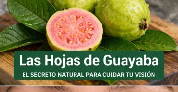 656647041 122160627380943773 6231487755704748753 n