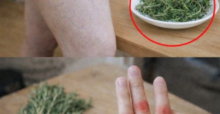 656681248 122299554032237330 529574263817155780 n