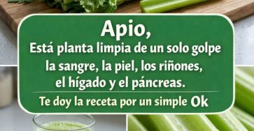 656738266 122161465922943773 1418605475678754825 n