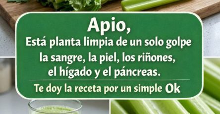 656738266 122161465922943773 1418605475678754825 n