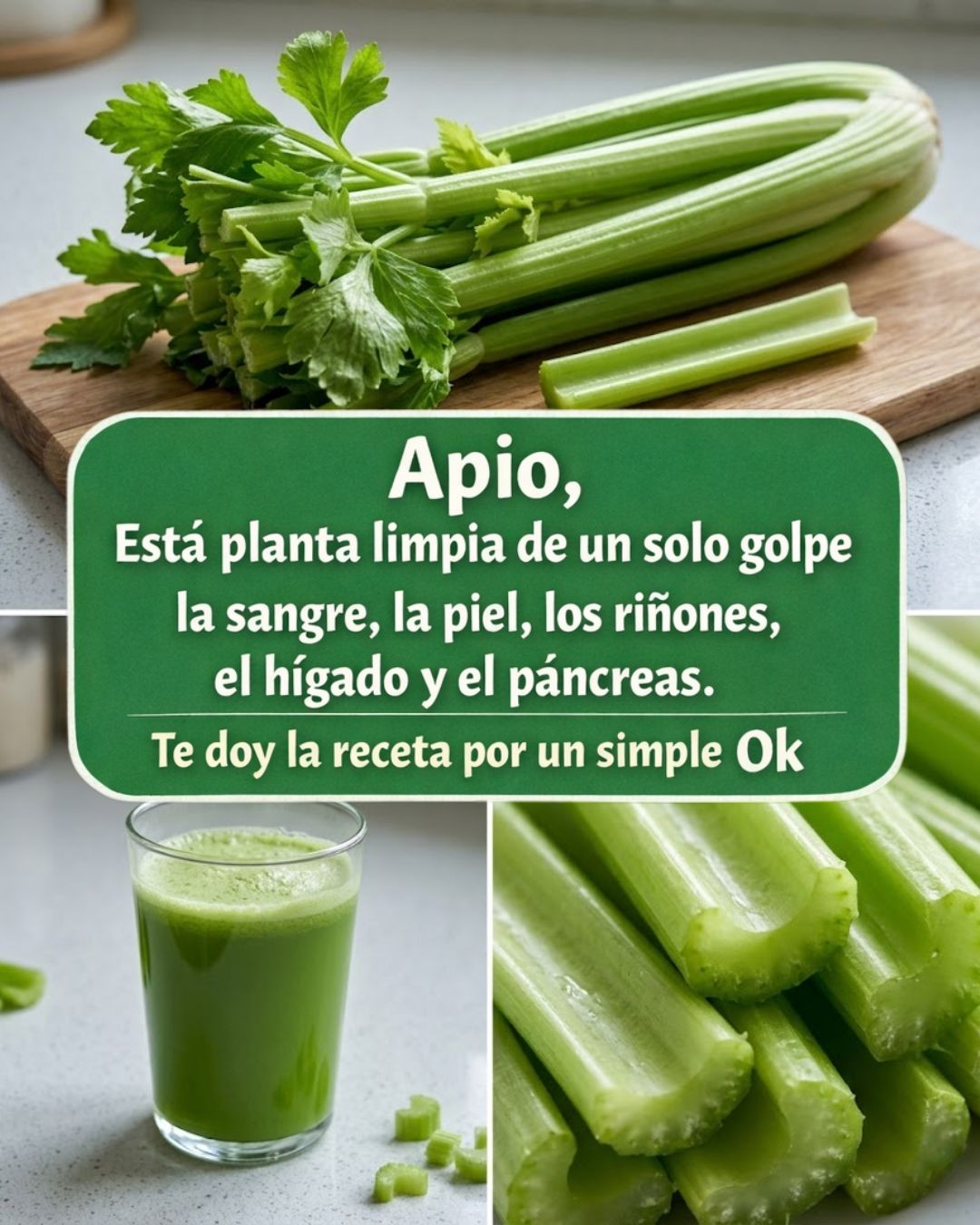 656738266 122161465922943773 1418605475678754825 n