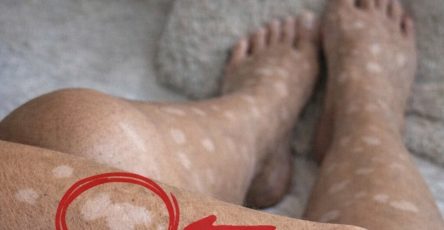 656749513 4388021308100768 3802792695577355786 n