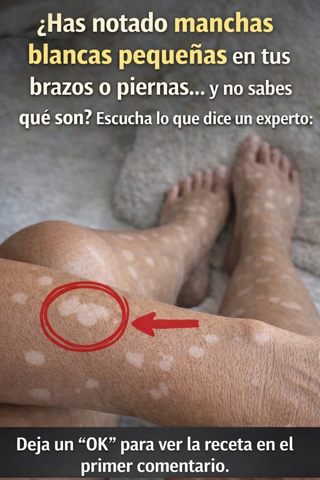 656749513 4388021308100768 3802792695577355786 n