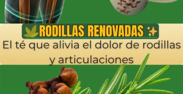 656822741 122157500348958793 3818314135857520648 n