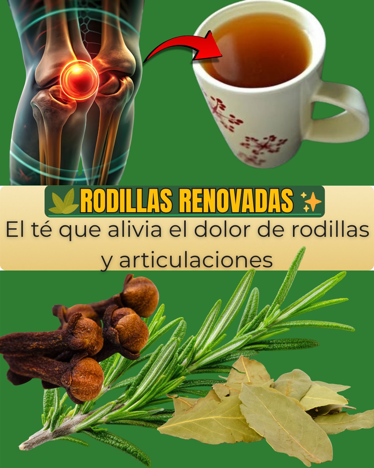 656822741 122157500348958793 3818314135857520648 n