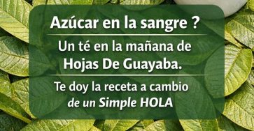 656880365 122160874334943773 1880831270059599620 n