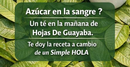 656880365 122160874334943773 1880831270059599620 n