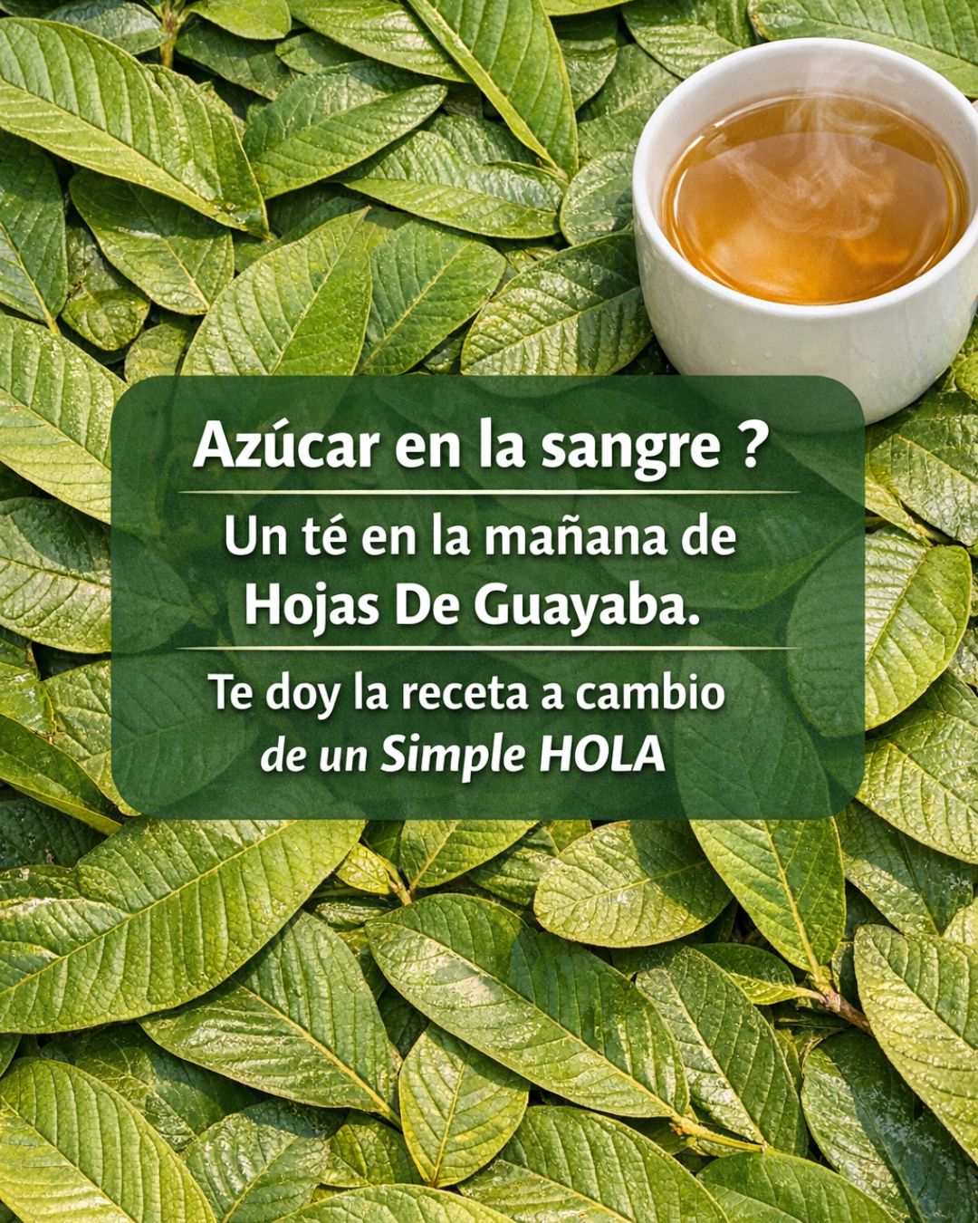 656880365 122160874334943773 1880831270059599620 n