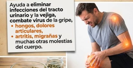 656921421 122161340768943773 3596609804564610457 n