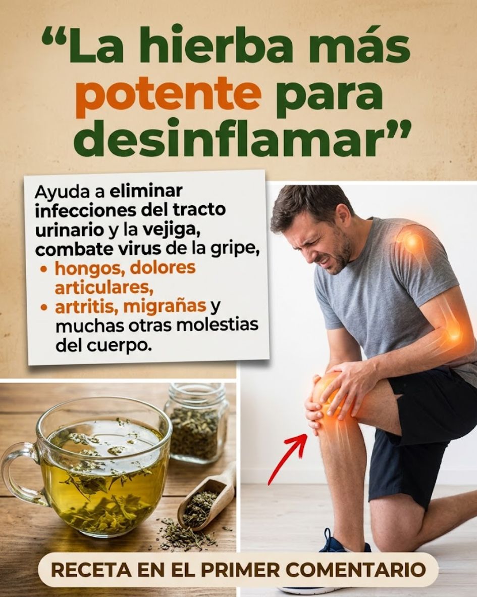 656921421 122161340768943773 3596609804564610457 n