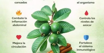 657399866 965872429205333 5268401225995677681 n