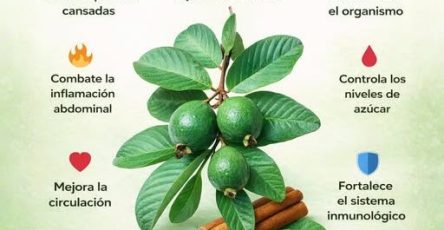 657399866 965872429205333 5268401225995677681 n