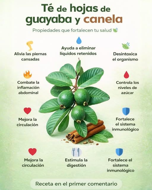 657399866 965872429205333 5268401225995677681 n