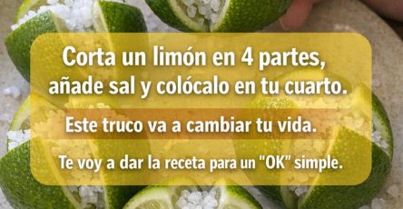 657671368 122160745004943773 4731200111657239727 n