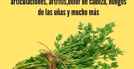 657693267 122157093920958793 6051845994100465737 n