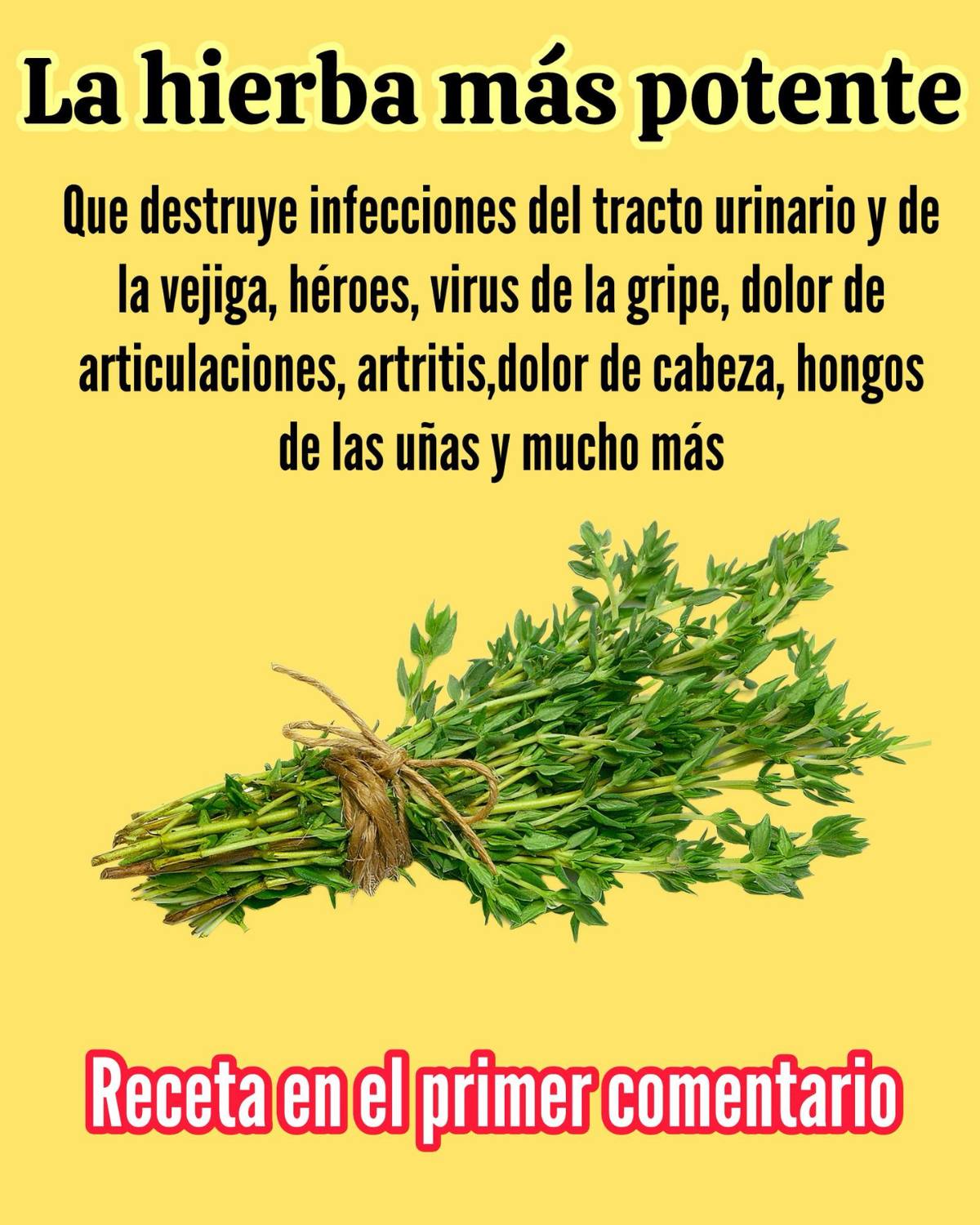 657693267 122157093920958793 6051845994100465737 n