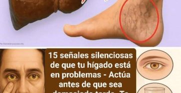 657711056 1476362377500529 6771190927310872580 n