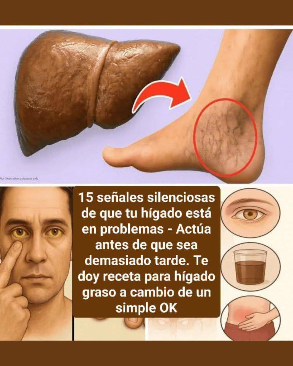 657711056 1476362377500529 6771190927310872580 n