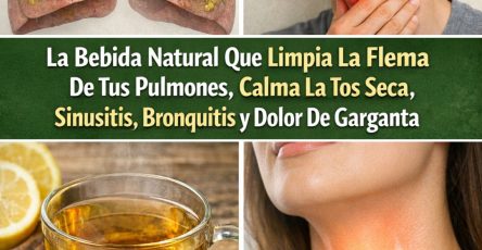 658136244 122151830186971843 4112374038453211018 n