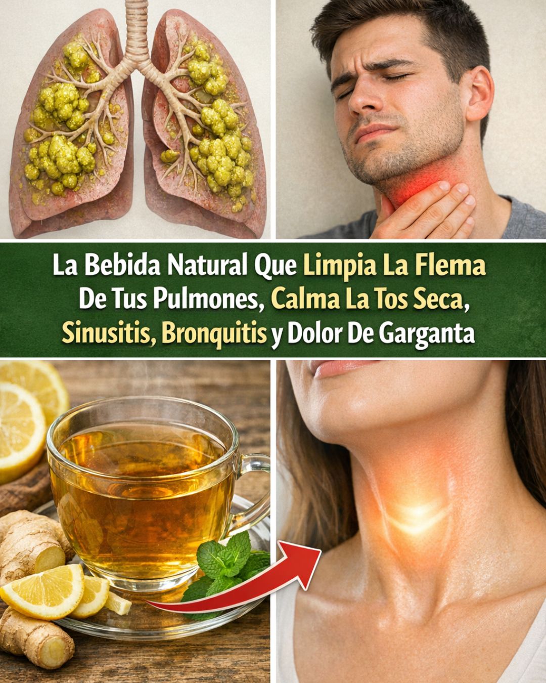 658136244 122151830186971843 4112374038453211018 n