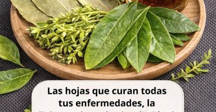 658353761 1575763994078880 5497296504177416667 n