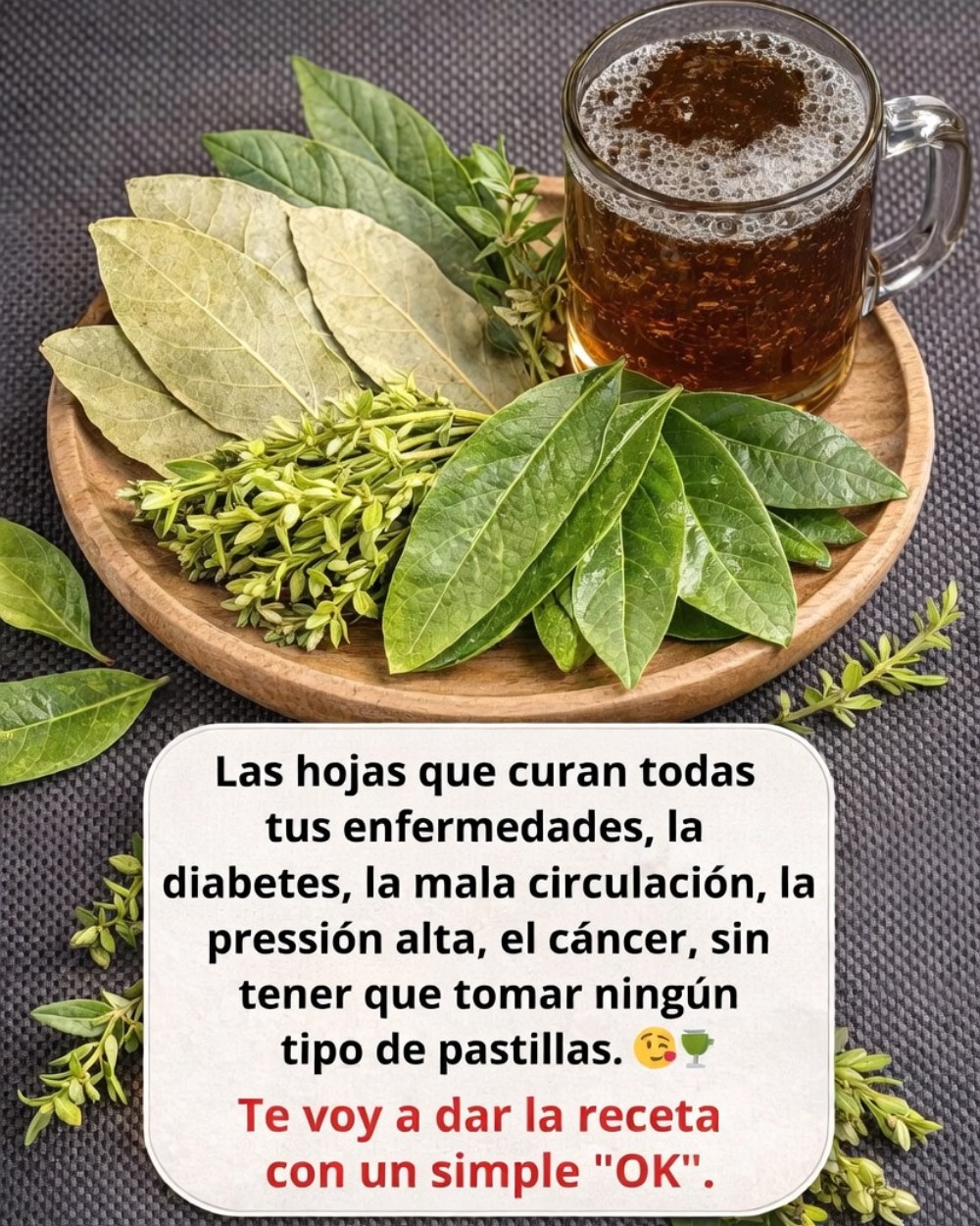 658353761 1575763994078880 5497296504177416667 n