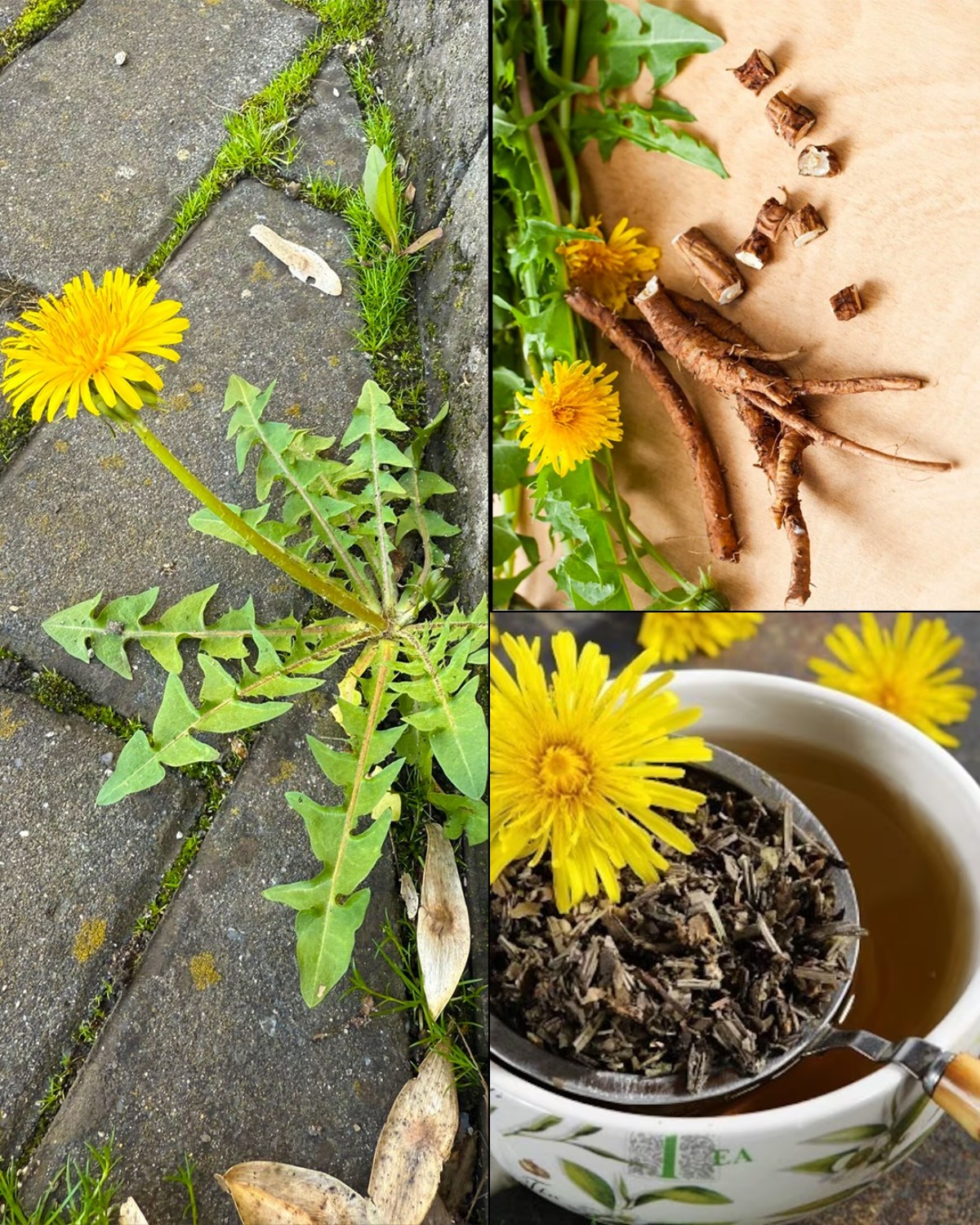 658810674 122157226664958793 5021286008183448217 n