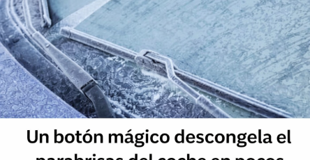 658ebc51 2b3f 4b30 b045 7bdc3b7cf83d