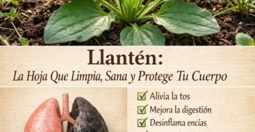 659047696 122161568606943773 521162100231031379 n