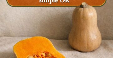 660962800 122161255736943773 7942352816212007555 n