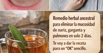 661458530 122161074092943773 3719743548679465467 n