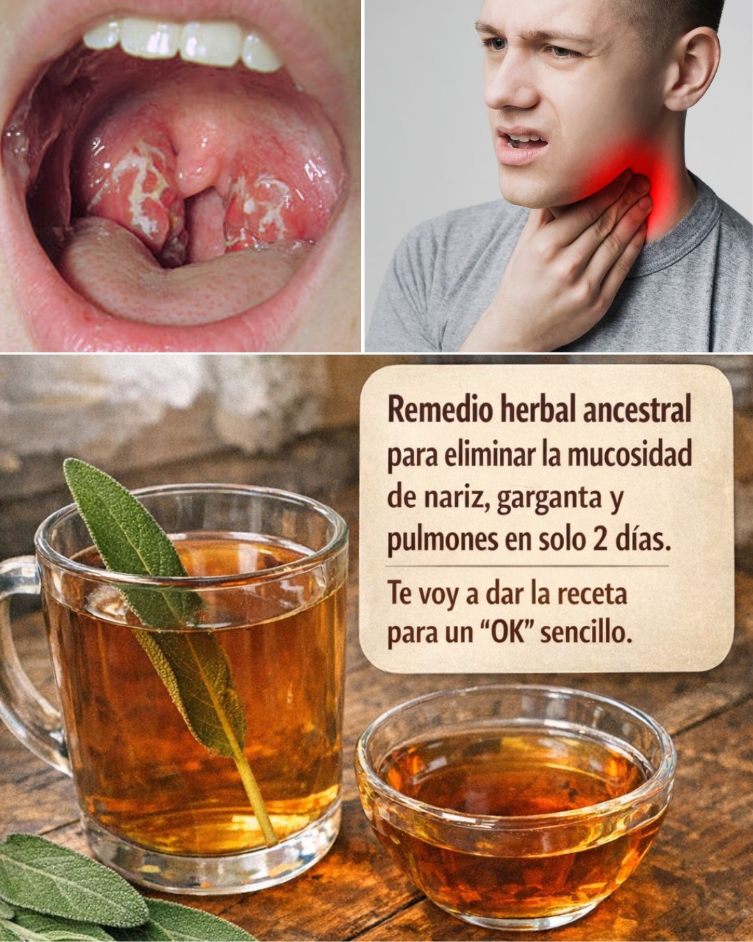 661458530 122161074092943773 3719743548679465467 n