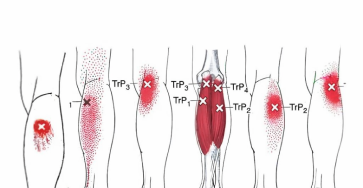 67e4733b 05bc 4a74 95db 7d50b94fa970