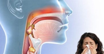 68356cd8 7e73 46e3 865f fc4498979149