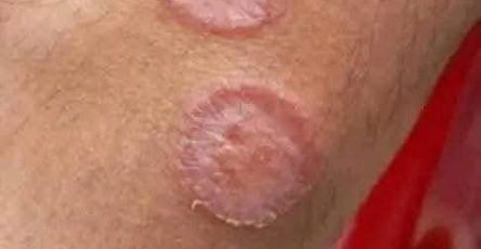 6fa0a53e a01c 46a3 9706 57d70f11ff10