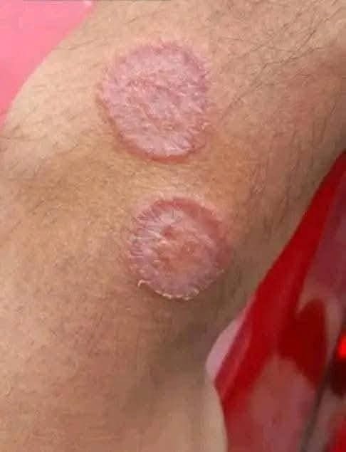 6fa0a53e a01c 46a3 9706 57d70f11ff10